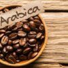 Cà phê hữu cơ arabica