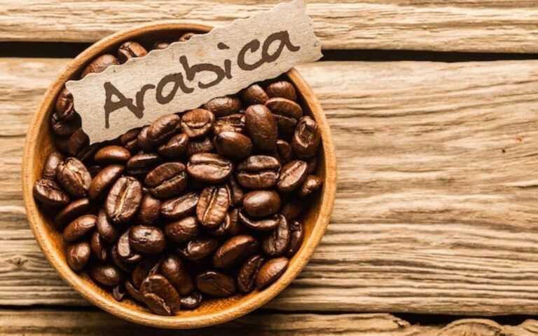 Cà phê hữu cơ arabica