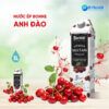 nuoc-ep-anh-dao-bonne-1l